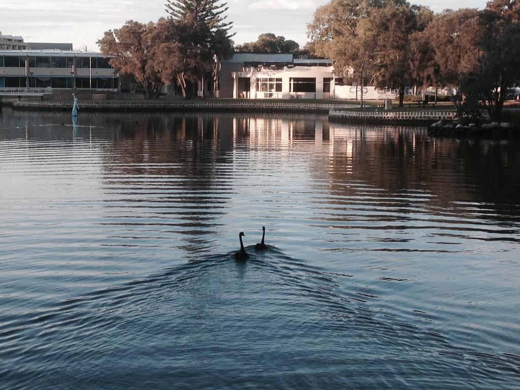Mandurah Ocean Marina Chalets Buitenkant foto